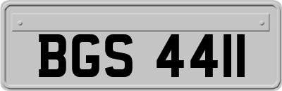 BGS4411