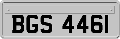 BGS4461
