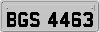 BGS4463