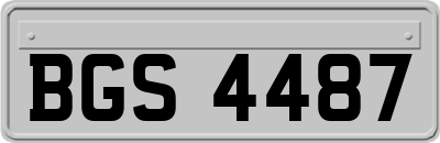 BGS4487
