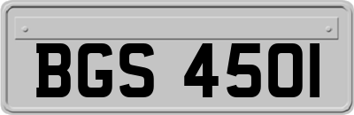 BGS4501