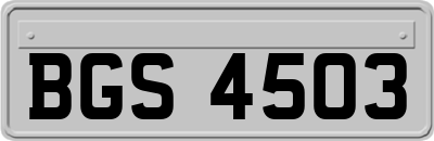 BGS4503