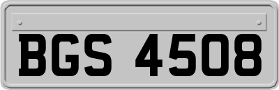 BGS4508