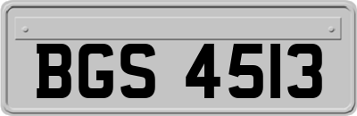 BGS4513