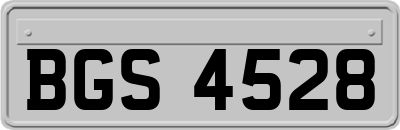 BGS4528