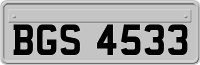 BGS4533