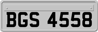 BGS4558