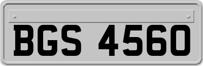 BGS4560