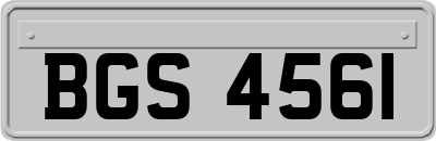 BGS4561