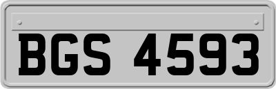 BGS4593
