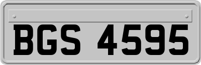 BGS4595