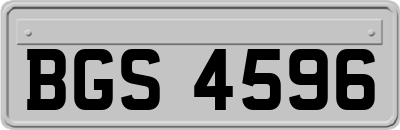 BGS4596