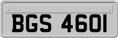 BGS4601