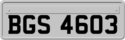 BGS4603