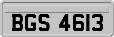 BGS4613