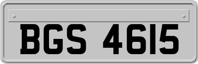 BGS4615