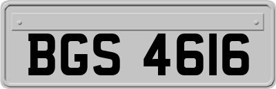 BGS4616