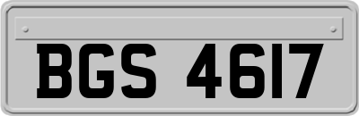 BGS4617