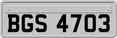 BGS4703