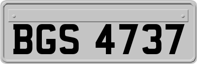 BGS4737