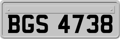 BGS4738