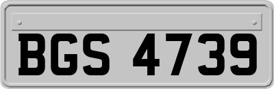 BGS4739