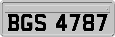 BGS4787