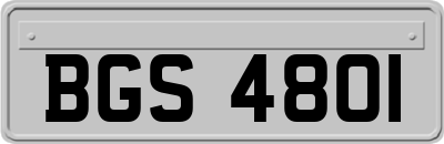 BGS4801