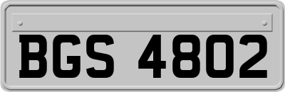 BGS4802
