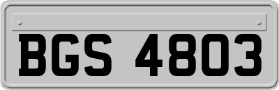 BGS4803