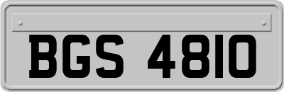BGS4810