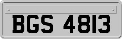 BGS4813
