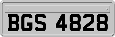 BGS4828