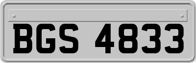 BGS4833