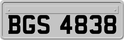 BGS4838