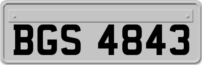 BGS4843