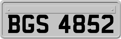 BGS4852
