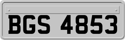 BGS4853