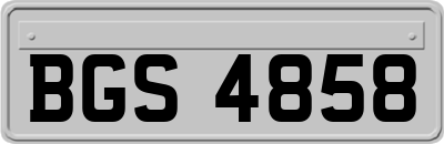BGS4858