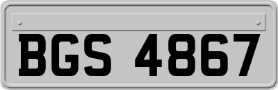 BGS4867