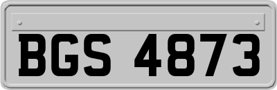 BGS4873