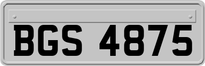 BGS4875