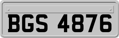 BGS4876
