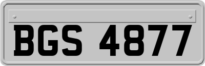 BGS4877