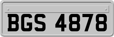 BGS4878