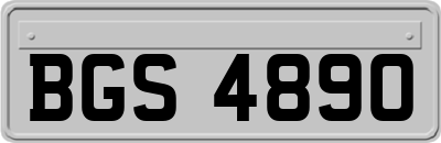 BGS4890