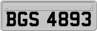 BGS4893