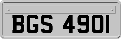 BGS4901