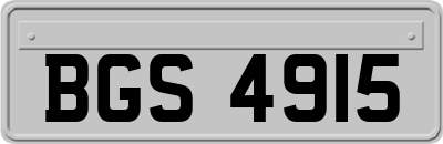 BGS4915
