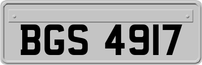 BGS4917